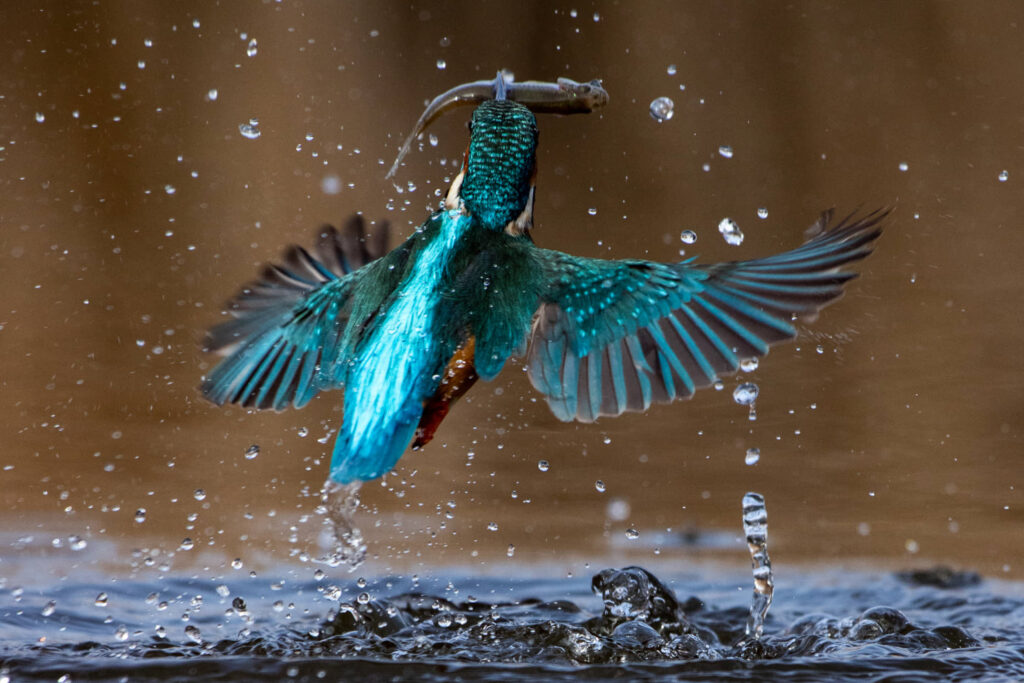 HendiPhoto_01_