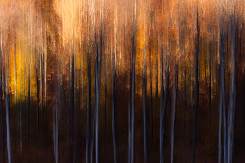 HendiPhoto_03