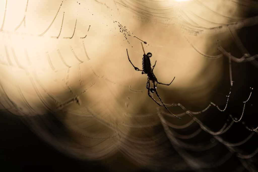 HendiPhoto_07