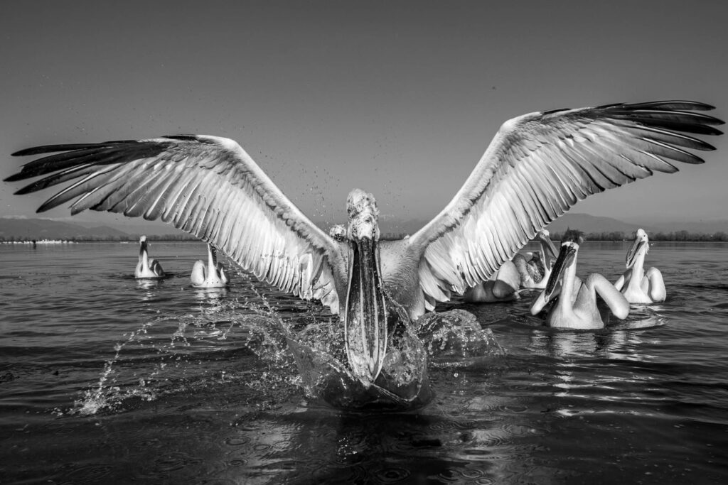 HendiPhoto_11