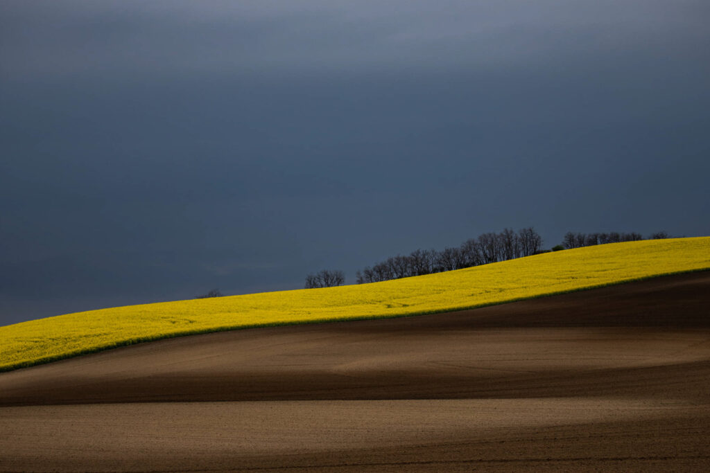HendiPhoto_12