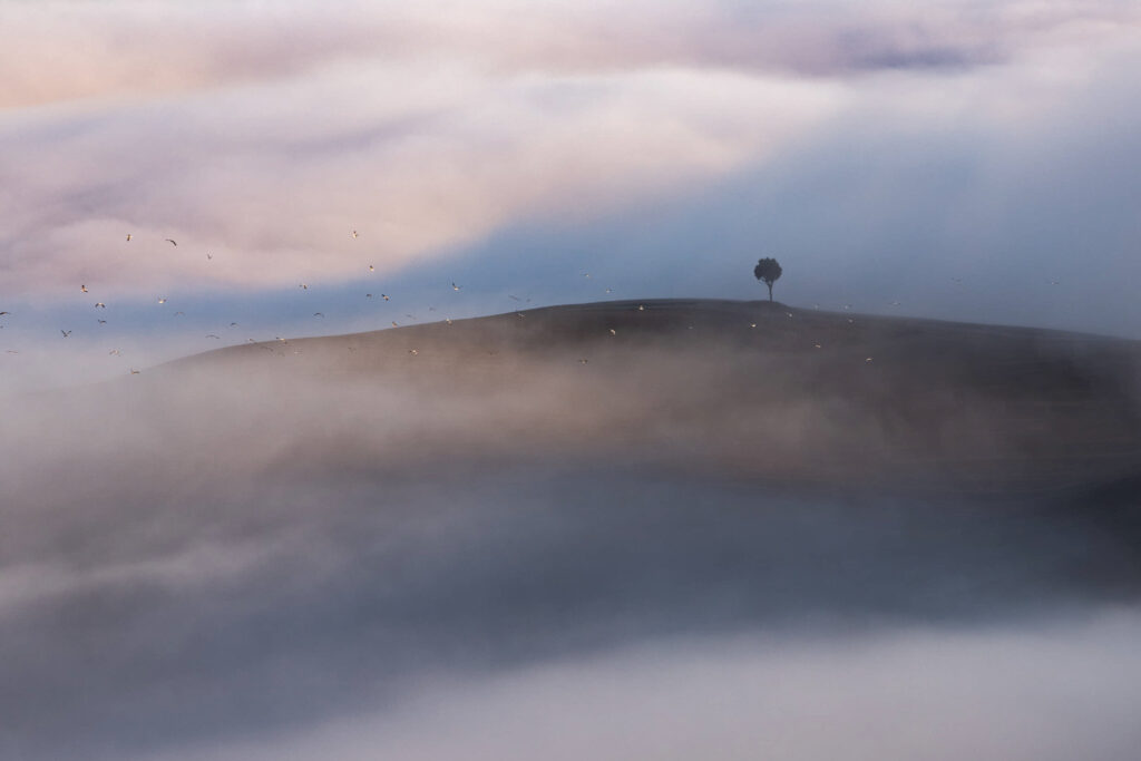 HendiPhoto_13